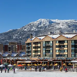 Gibbons Life , Whistler Canada